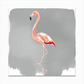 Flamingo 17 Canvas Print