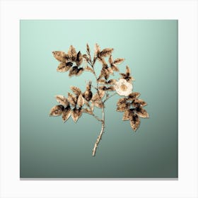 Gold Botanical Mountain Rose Bloom on Mint Green n.3124 Canvas Print