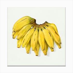 Bananas 5 Canvas Print