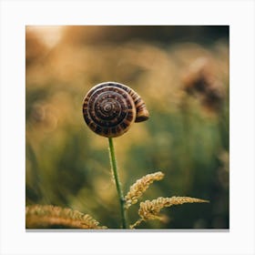 Snail In The Field 1 Canvas Print