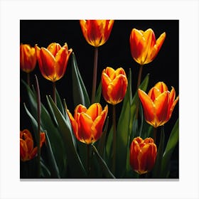 Orange Tulips Canvas Print