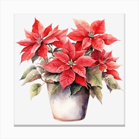 Poinsettia 36 Canvas Print