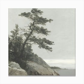 Lone Tree On A Rock Canvas Print