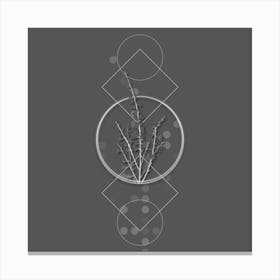Vintage White Broom Botanical with Line Motif and Dot Pattern in Ghost Gray n.0156 Canvas Print