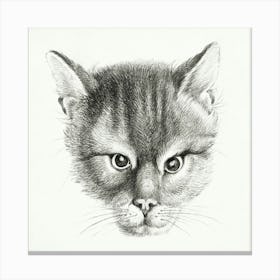 Sketch Of A Cat 2, Jean Bernard Canvas Print