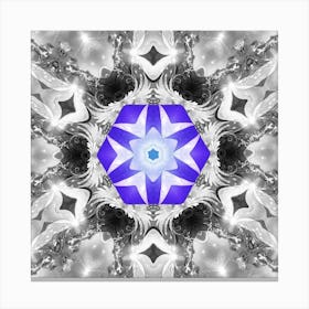 Psychedelic Fractals Canvas Print