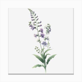 Larkspur Canvas Print