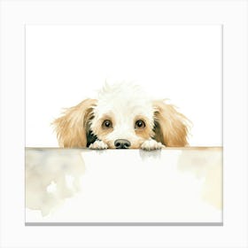 Poodle Peeking Canvas Print