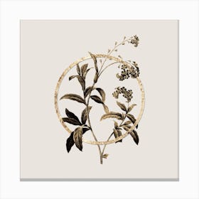 Gold Ring Water Forget Me Not Glitter Botanical Illustration Canvas Print