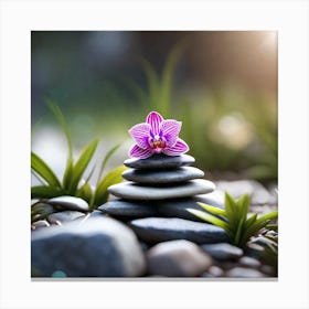 Zen Garden 2 Canvas Print