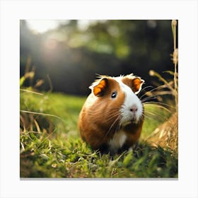 Guinea Pig 2 Canvas Print