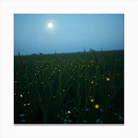 Fireflies In A Field Canvas Print