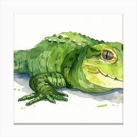 Alligator Canvas Print