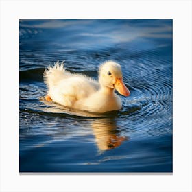 Firefly Cute Baby Ducklings Swimming In Serene Lake 74835 (2) Canvas Print