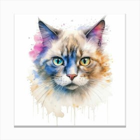 Suphalak Cat Portrait 1 Canvas Print