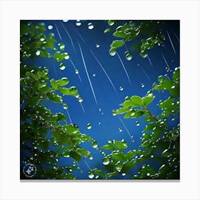 Raindrops On Leaves Canvas Print