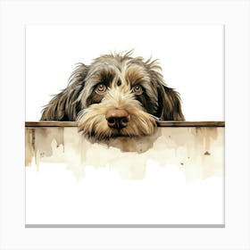 Spinone Italiano Dog 2 Canvas Print