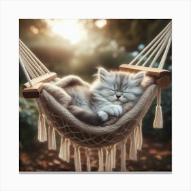 Cat Sleeping In A Hammock Canvas Print