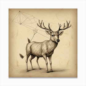 Deer With A Net 1 Canvas Print