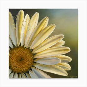 Daisy 2 Canvas Print