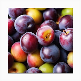 Plums 2 Canvas Print