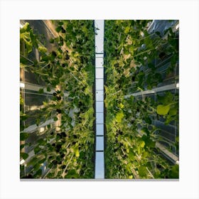 Vertical Farming Canvas Print