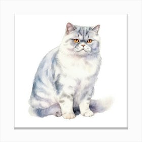 British Shorthair Persian Cat Portrait 1 Canvas Print