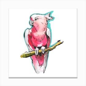 Pink Tropical Parrot Canvas Print