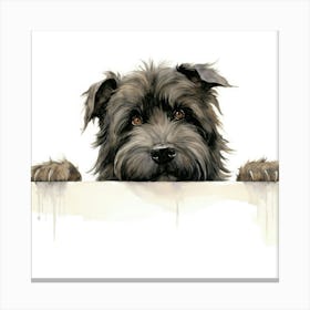 Scottish Terrier 2 Canvas Print