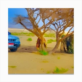 Lone tree in the desert Canvas Print