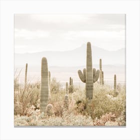 Southwest Scenery Square Canvas Print