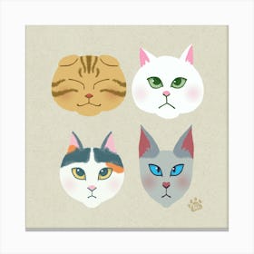 Whisker Gang Canvas Print