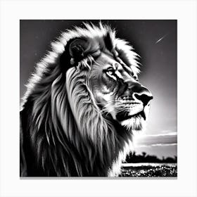 Lion In Black And White 7 Canvas Print