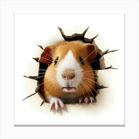 Guinea Pig 8 Canvas Print