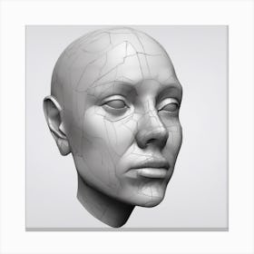 Head Of A Woman 3 Canvas Print