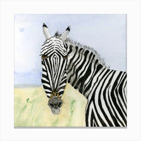 Zebra Watercolor Painting Canvas Print