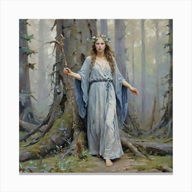 sorcerer Canvas Print