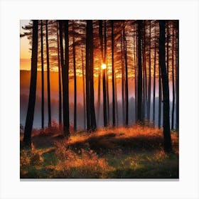 Sunrise In The Forest 19 Canvas Print