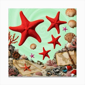 Starfish And Seashells Canvas Print