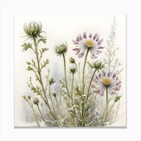 Wildflower, Watercolor, Digital Art Canvas Print