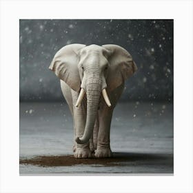 Elephant In The Snow 1 Canvas Print