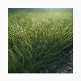 Grass 2 Canvas Print