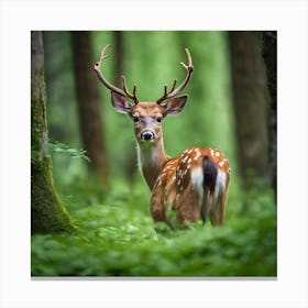 Deer In The Forest 1 Canvas Print