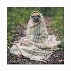 Pug Dog Wrapped In Blanket Canvas Print