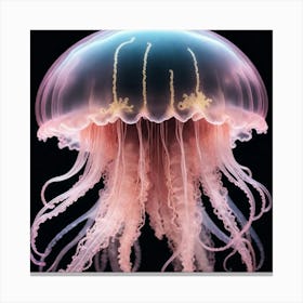 Pink jellyfish 3 Canvas Print
