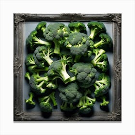 Brocolli Canvas Print