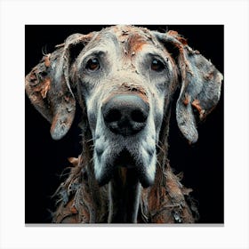 Old Dog 04 Canvas Print