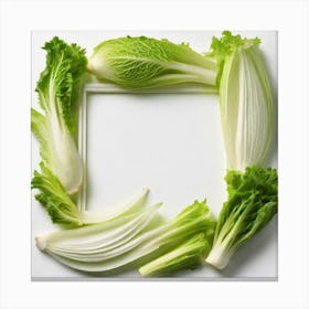 Frame Created From Endive On Edges And Nothing In Middle (7) Canvas Print