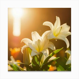 White Lily In The Sun Canvas Print