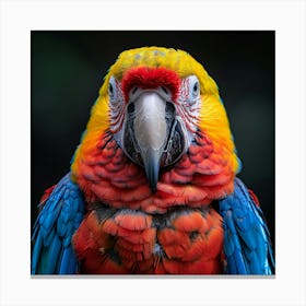 Colorful Parrot 13 Canvas Print